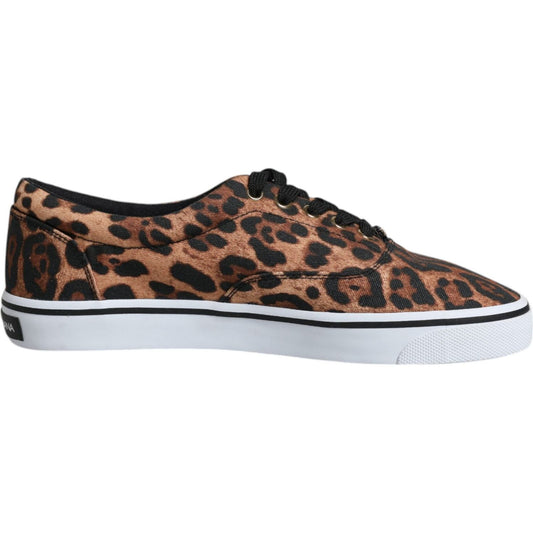 Dolce & Gabbana Brown Leopard Logo Print Cotton Sneakers Shoes 1728,67345645728,Brown,Dolce & Gabbana,EU40.5/US7.5,Material: 100% Cotton,Men,Men - Shoes,New with tags,Shoes,Sneakers - Men - Shoes Dolce & Gabbana MV6602-40.5