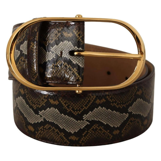 Dolce & Gabbana Elegant Gold Oval Buckle Leather Belt 1728,67345645728,80 cm / 32 Inches,Belts - Women - Accessories,Brown,Dolce & Gabbana,Material: 100% Leather,New with tags,Women Dolce & Gabbana BEL8360 - 80